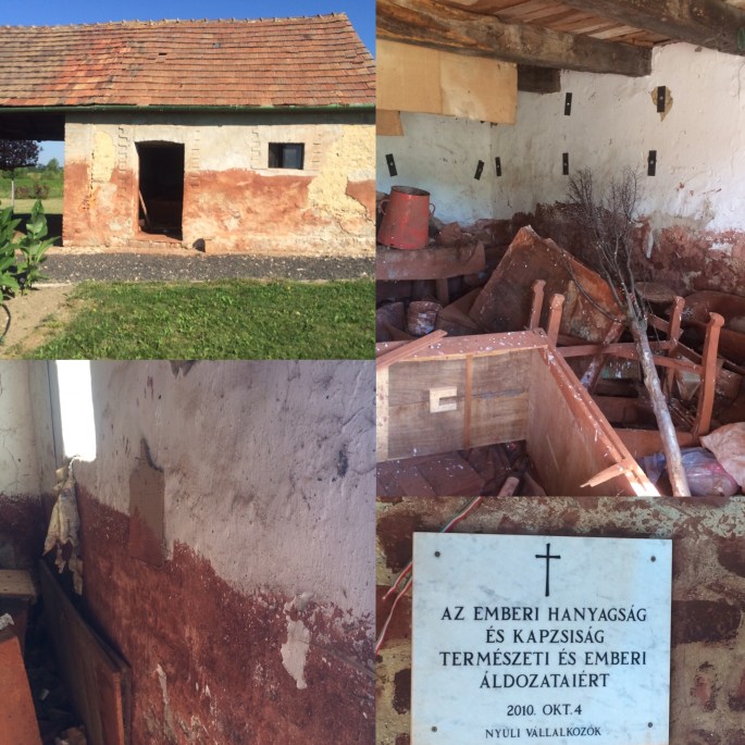 6707D90D-A59D-4AB6-AA5A-FA848C9F0473